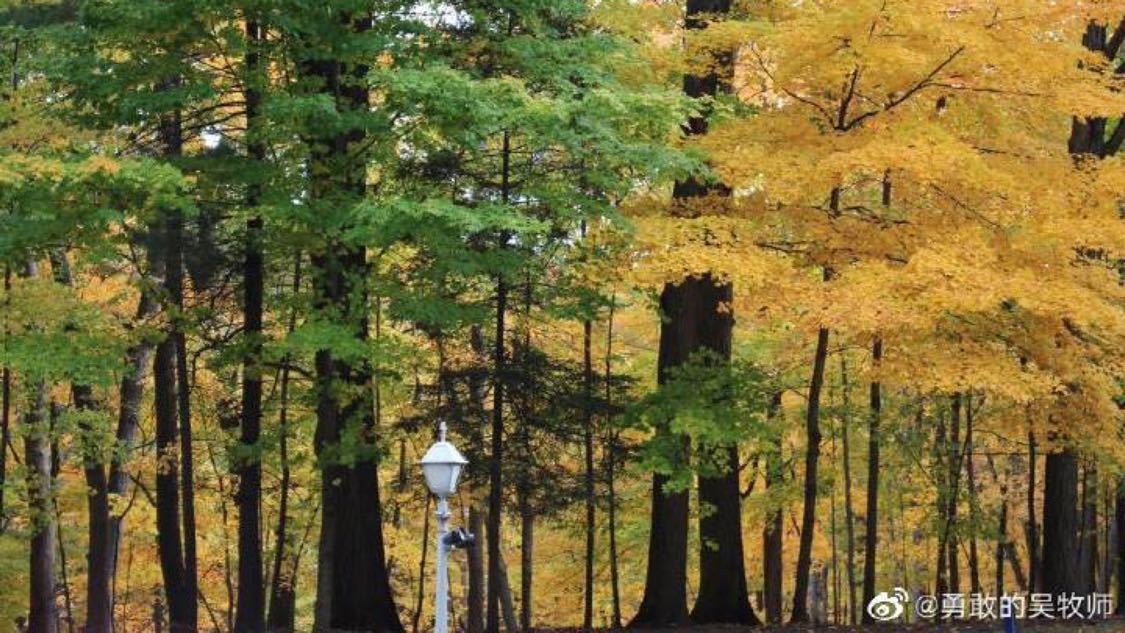 抖音僵尸粉丝业务下单网站